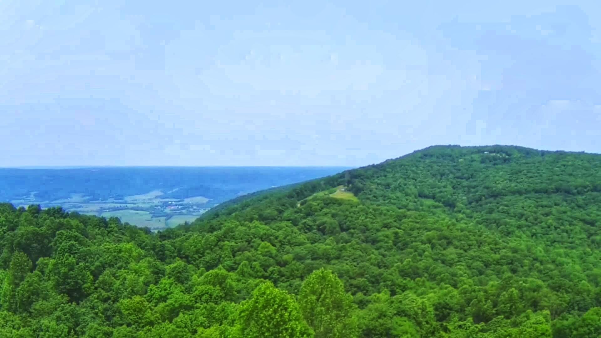 1499 Big Ridge Road Spring City, TN 37381 - Photo 48 of 51
