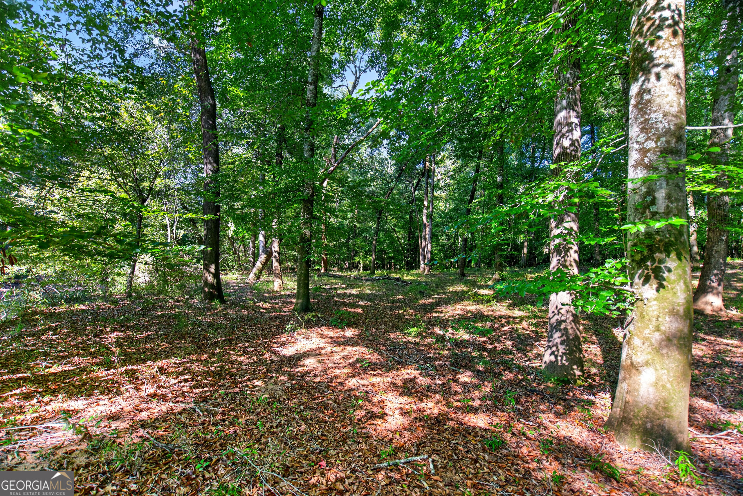 2 Salem Road LaGrange, GA 30241 - Photo 13 of 26 Gallery Image 13