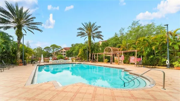 a swimming pool with palm trees