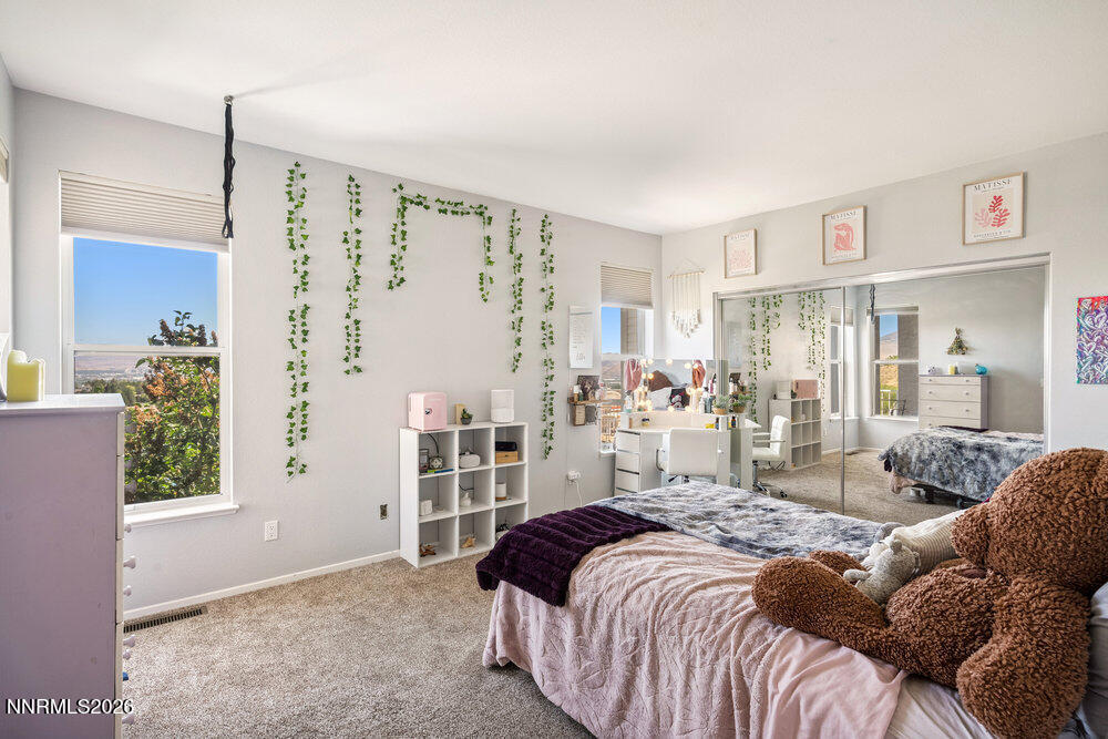 2919 Mountain Springs Road Reno, NV 89519 - Photo 64 of 80 029_dsc09387_252
