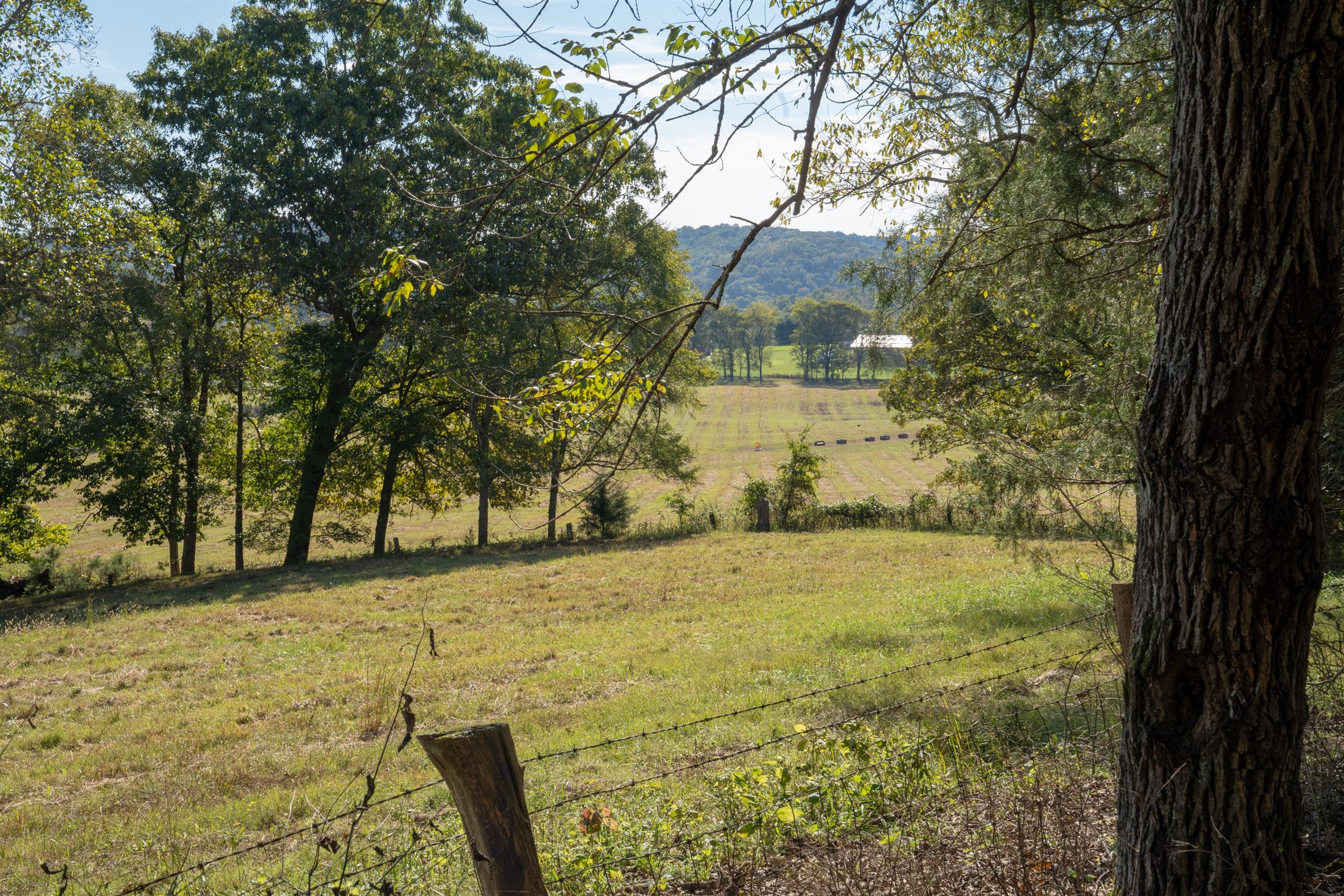 496 D Pee Dee Branch Road Cottontown, TN 37048 - Photo 20 of 22 Gallery Image 20