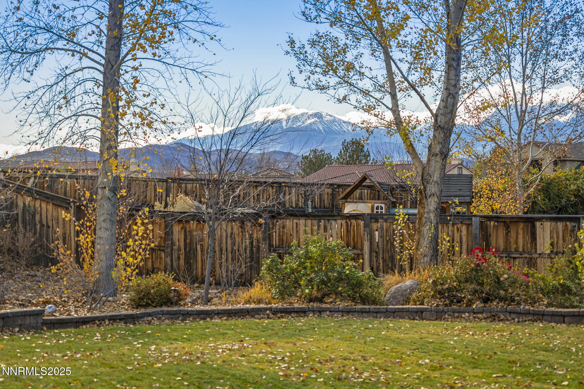 9890 Kerrydale Court Reno, NV 89521 - Photo 43 of 48 a front view of house with a yard and large trees