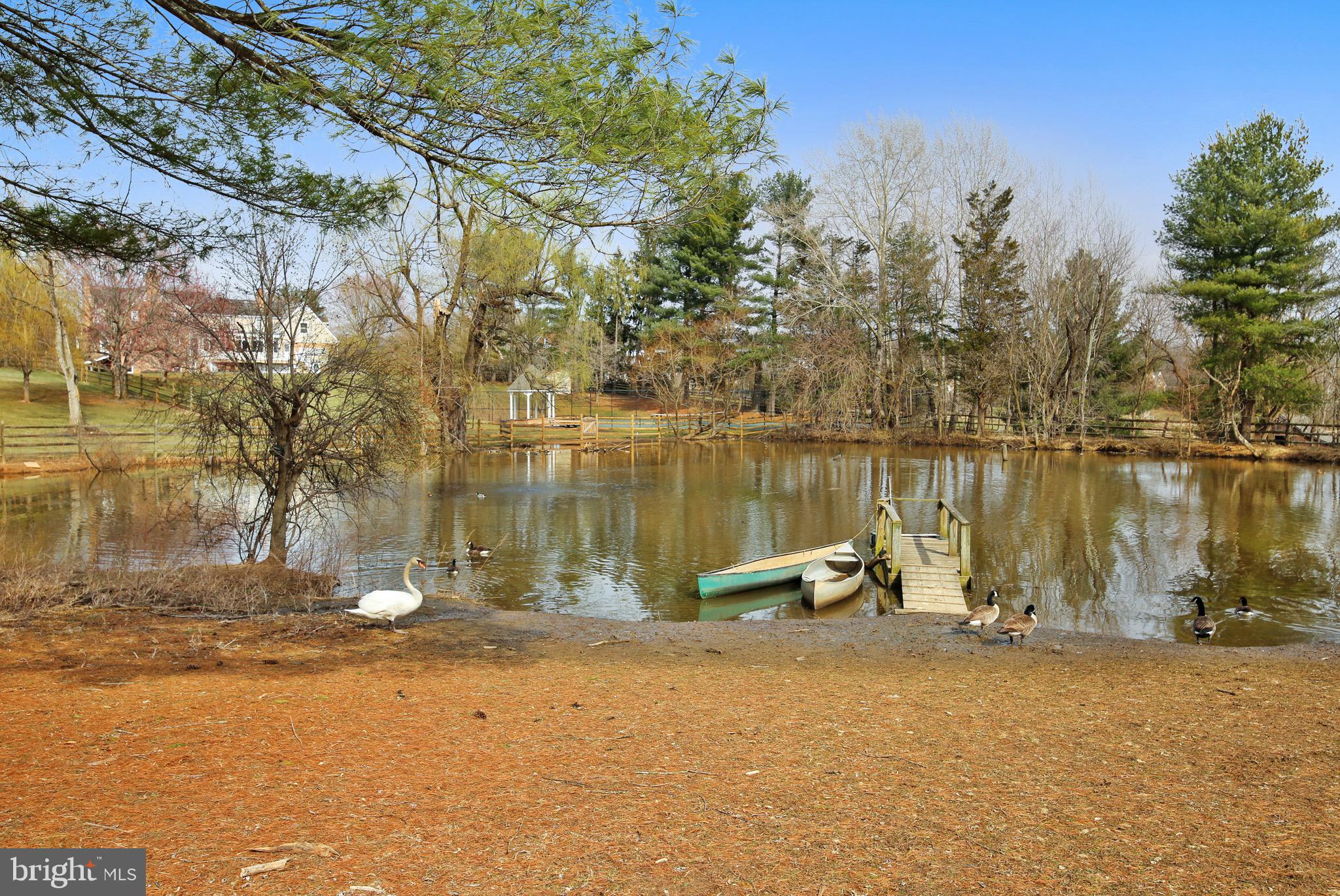 5 Beall Spring Court Potomac, MD 20854 - Photo 48 of 57 Private Pond w Swan