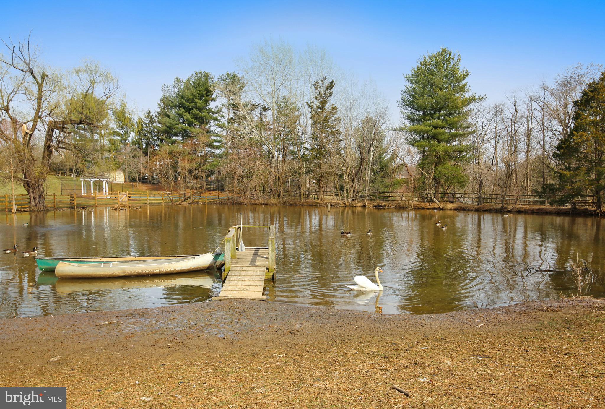 5 Beall Spring Court Potomac, MD 20854 - Photo 50 of 57 Private Pond w Swan