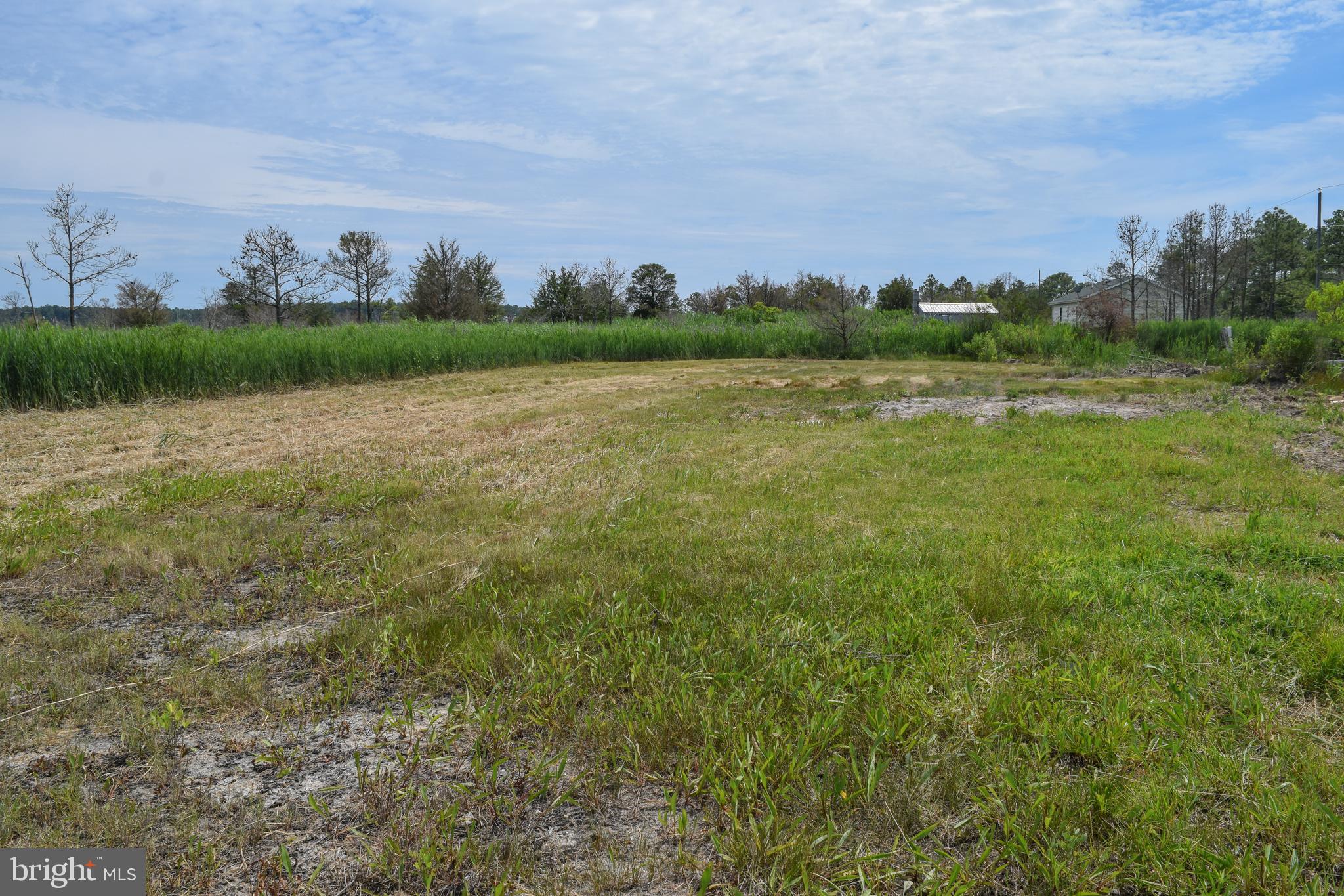 3155 Sackertown Road Crisfield, MD 21817 - Photo 2 of 11 Backyard of Building Sites