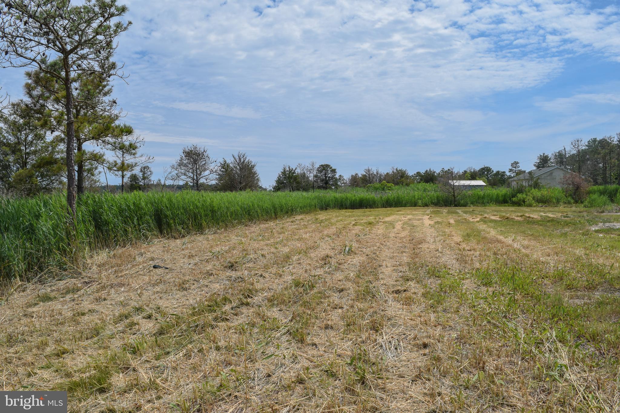 3155 Sackertown Road Crisfield, MD 21817 - Photo 3 of 11 Backyard of Building Sites