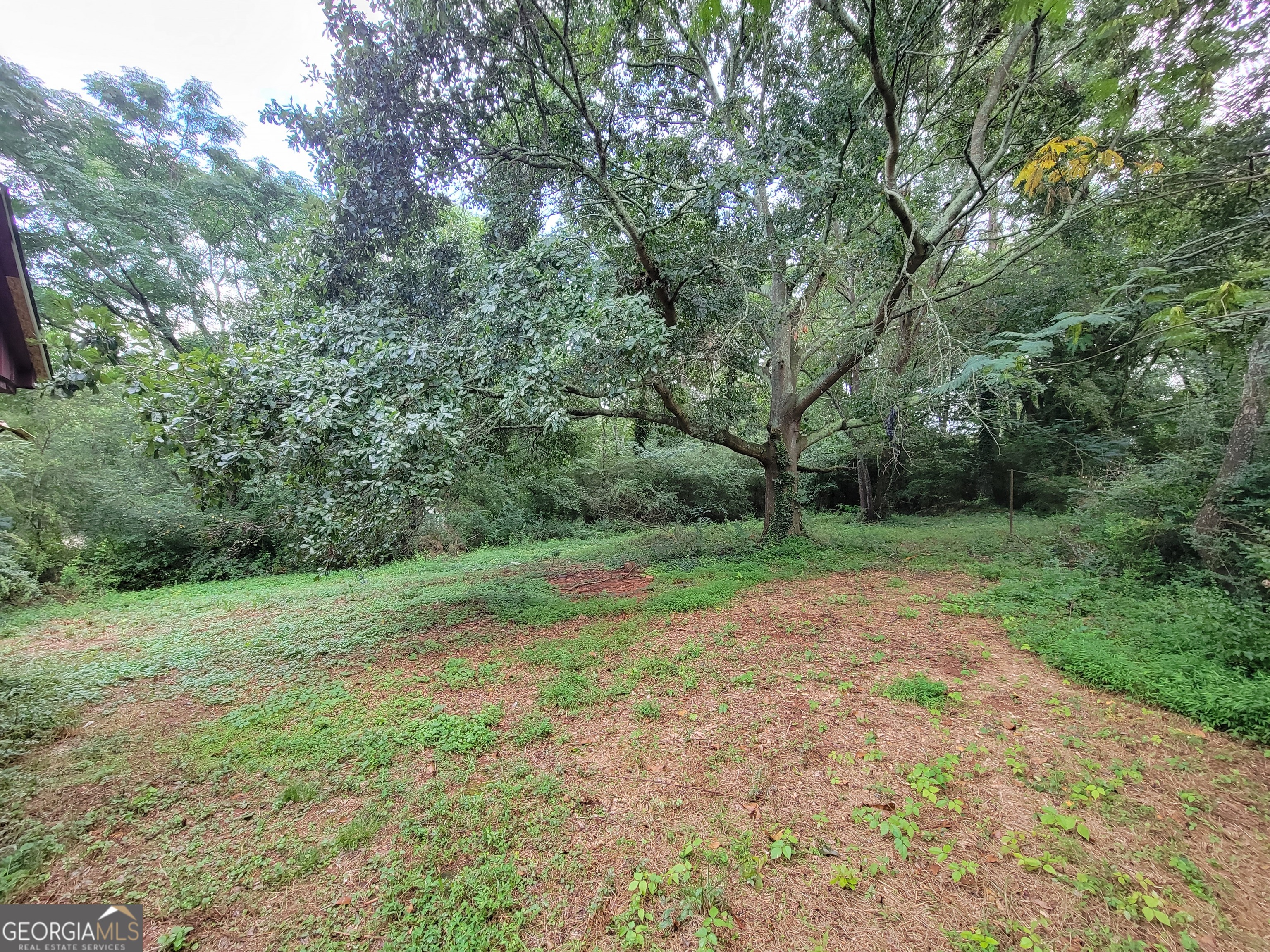 981 Luther Street Southeast Atlanta, GA 30315 - Photo 4 of 4 a view of outdoor space with trees all around