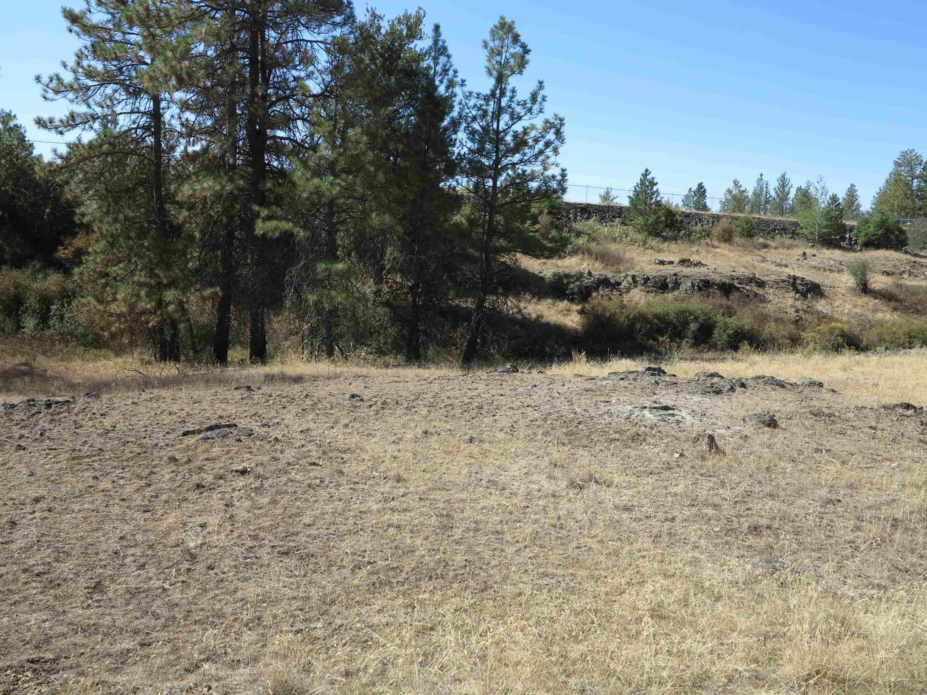 17700-blk West Williams Lake Road Cheney, WA 99004 - Photo 11 of 21 Gallery Image 11