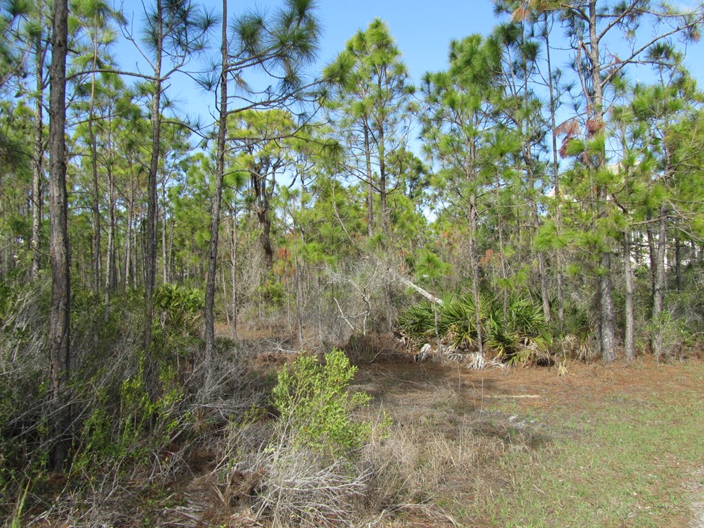 2000 Whelk Way Eastpoint, FL 32328 - Photo 13 of 16