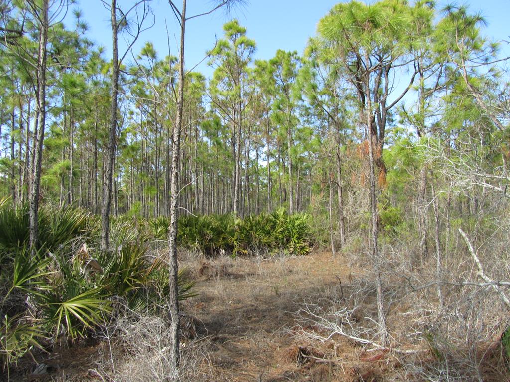 2000 Whelk Way Eastpoint, FL 32328 - Photo 14 of 16