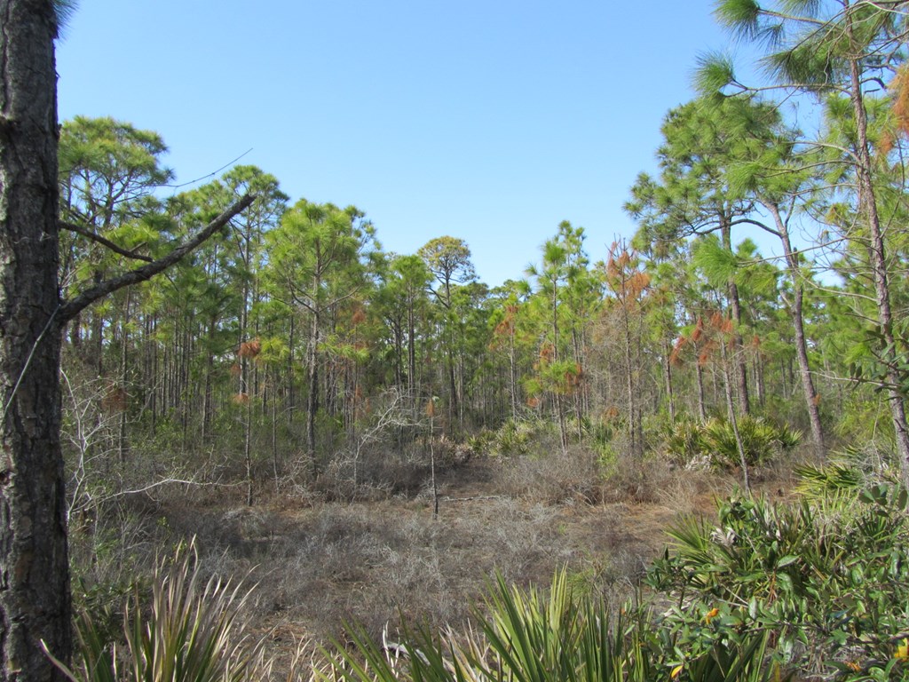 2000 Whelk Way Eastpoint, FL 32328 - Photo 3 of 16
