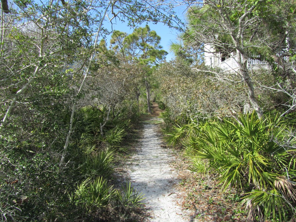 2000 Whelk Way Eastpoint, FL 32328 - Photo 7 of 16