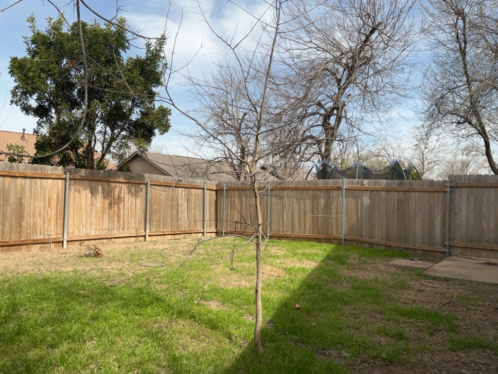 2028 Redwing Way Round Rock, TX 78664 - Photo 23 of 24 a view of backyard with wooden fence