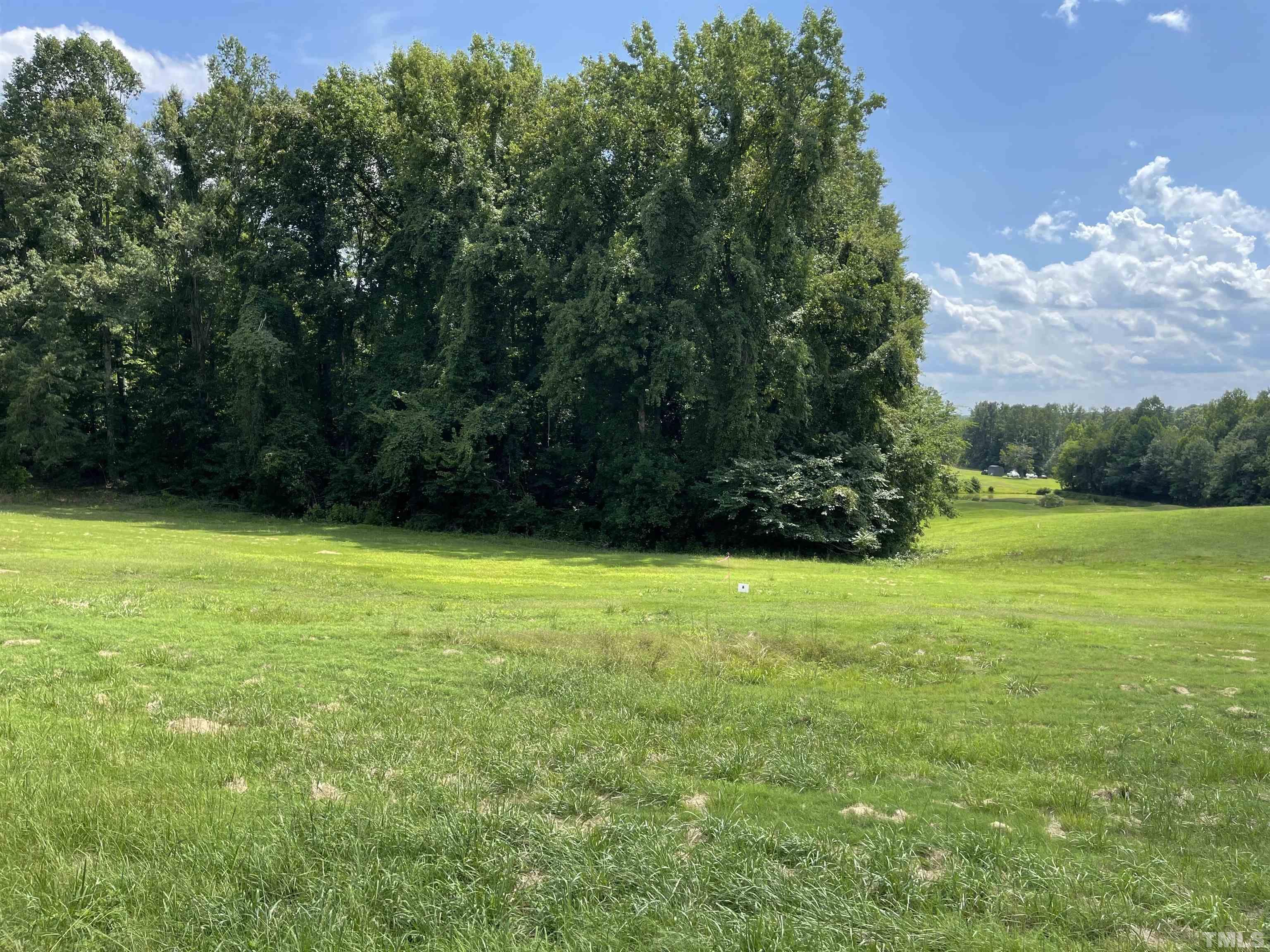Lot A Community House Road Roxboro, NC 27574 - Photo 2 of 5