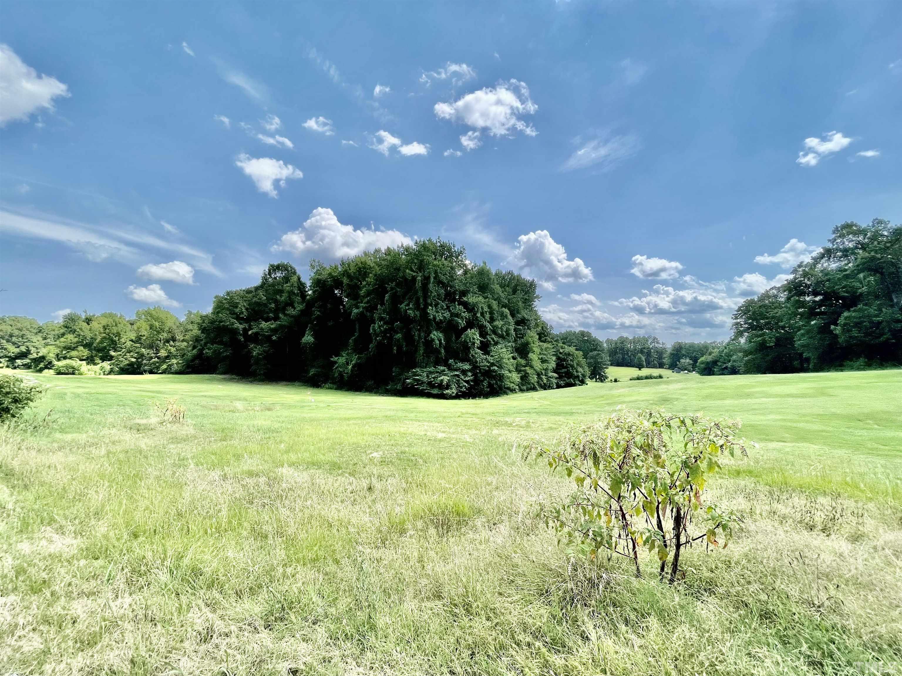 Lot A Community House Road Roxboro, NC 27574 - Photo 4 of 5