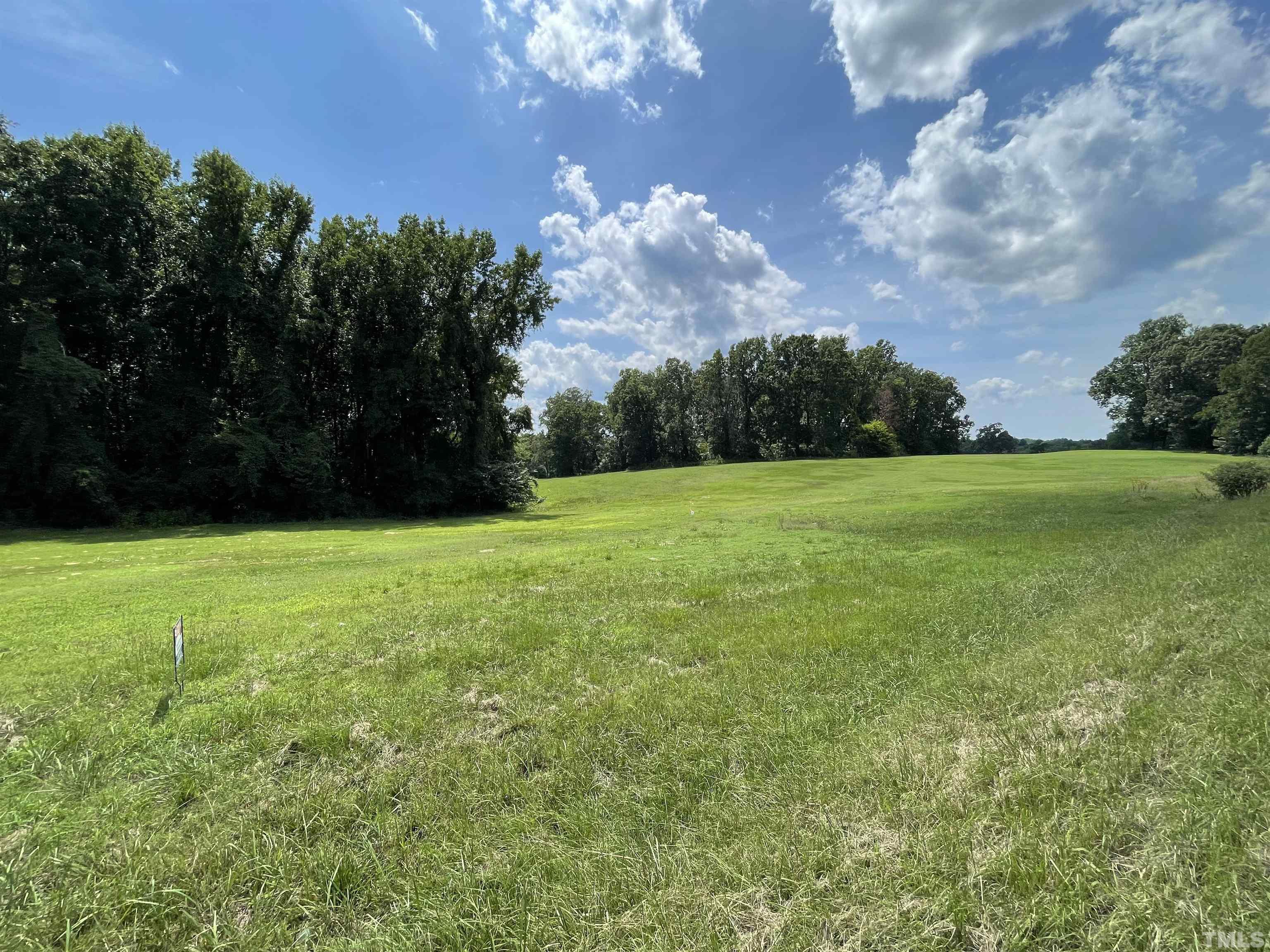 Lot A Community House Road Roxboro, NC 27574 - Photo 5 of 5