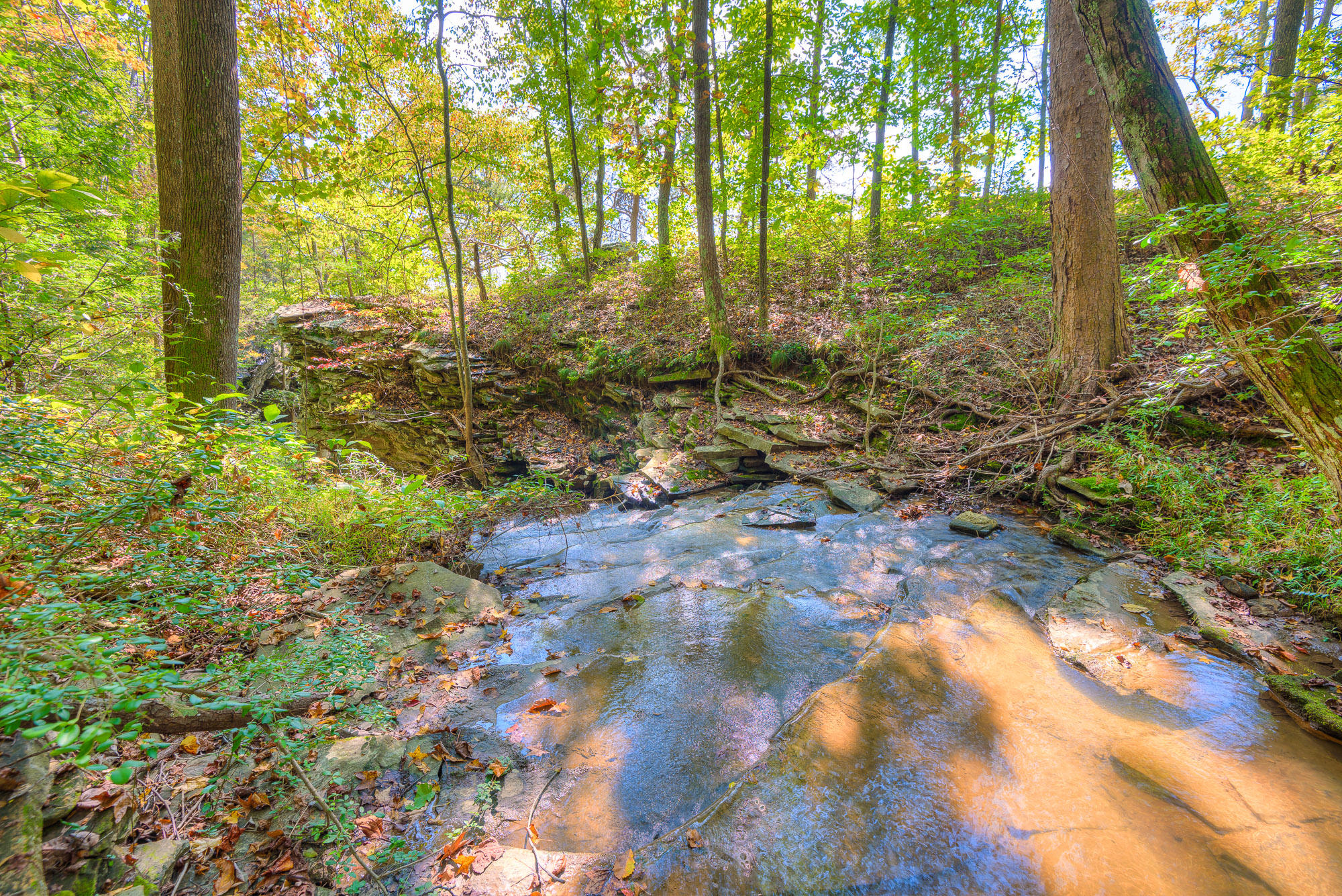 1900 East Brow Road Signal Mountain, TN 37377 - Photo 41 of 41 Fabulous Waterfall!