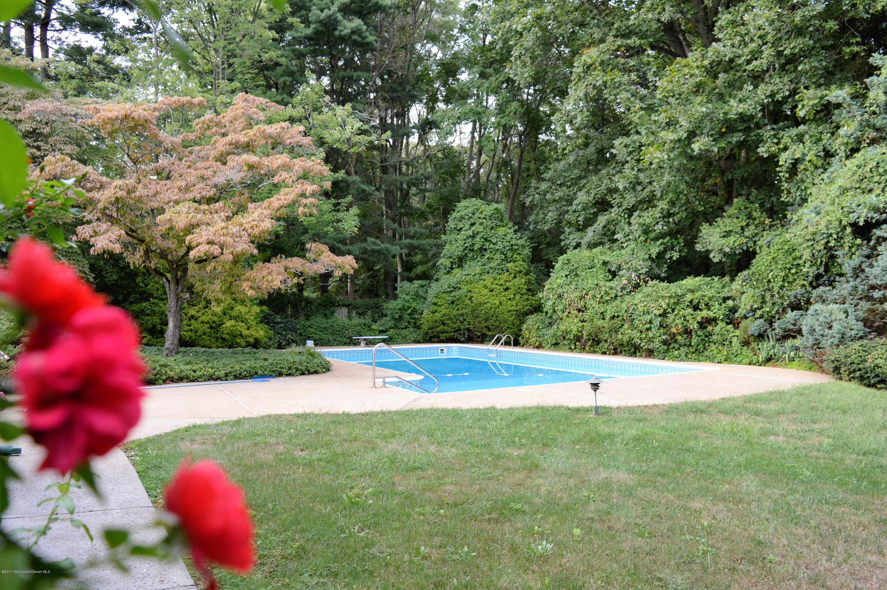 66 Wallace Road Middletown, NJ 07748 - Photo 2 of 39 Pool 1