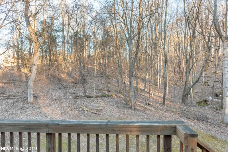 7420 River Bluff Road Radford, VA 24141 - Photo 43 of 50 Gallery Image 43
