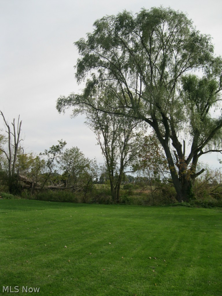 36561 Butternut Ridge Road North Ridgeville, OH 44039 - Photo 23 of 25 Gallery Image 23