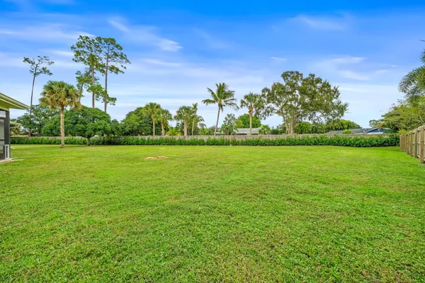 a view of a garden with a building in the background
