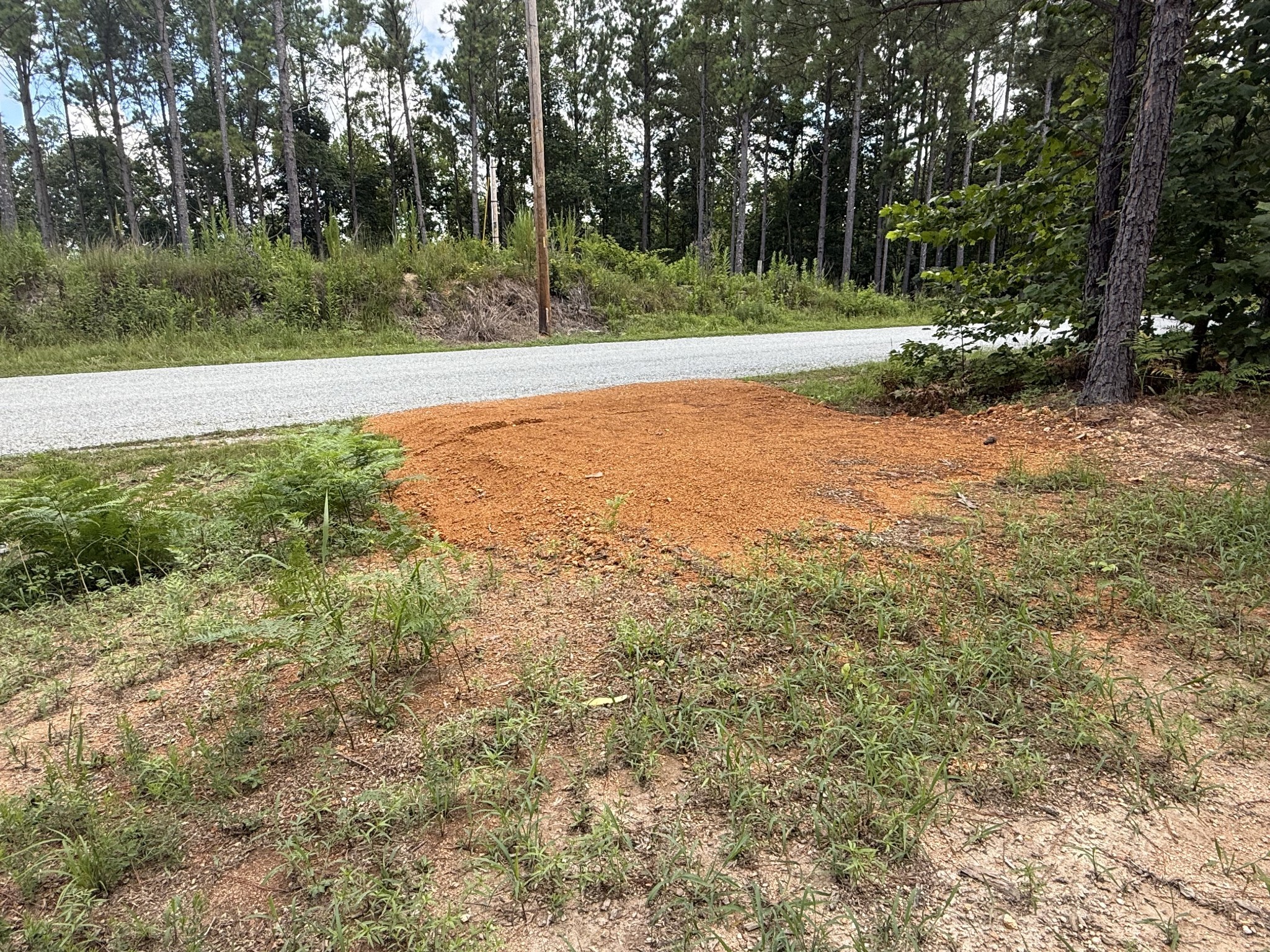 5608 Old Hohenwald Road Linden, TN 37096 - Photo 2 of 35 a view of a field with trees in background
