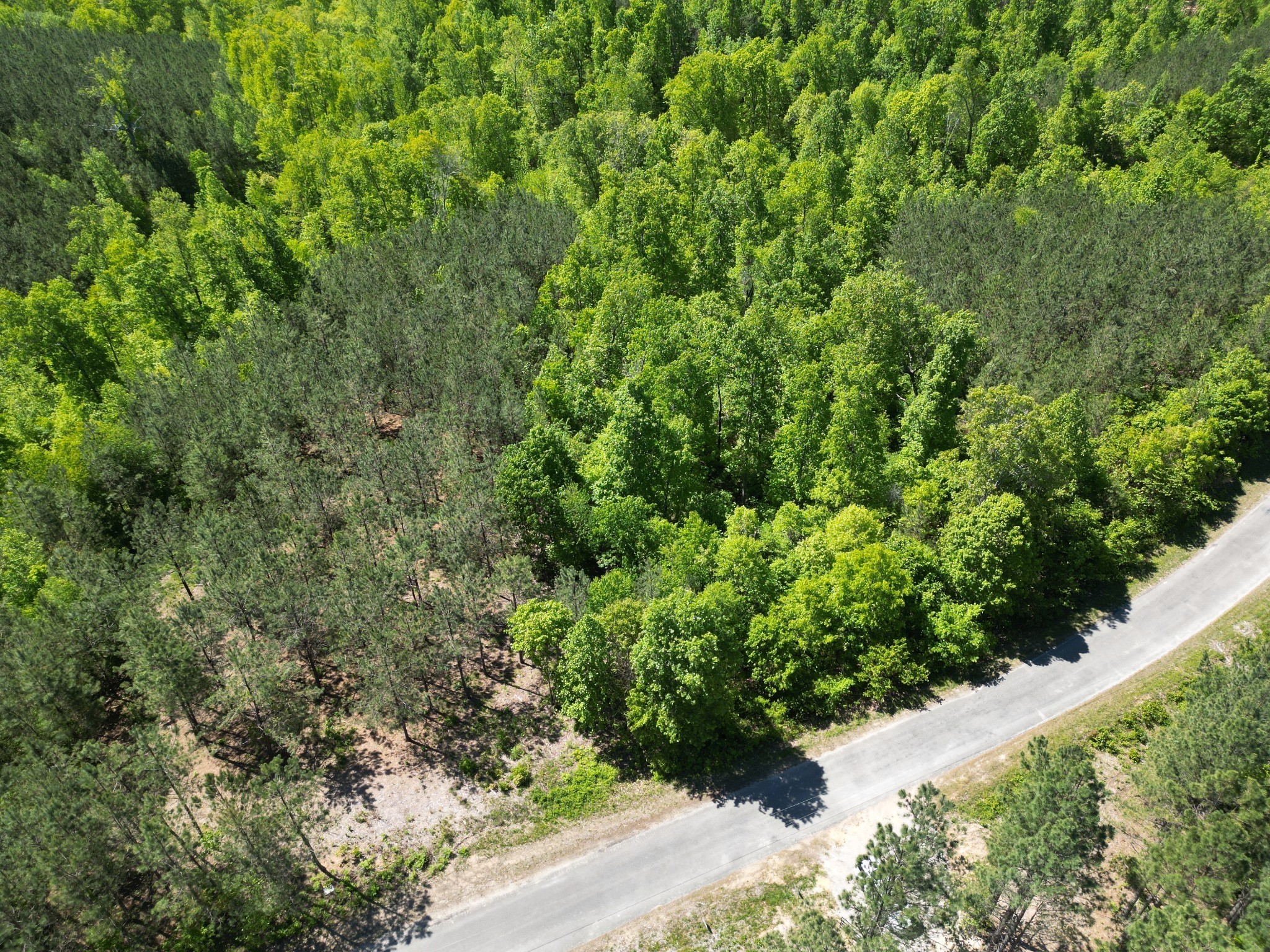 5608 Old Hohenwald Road Linden, TN 37096 - Photo 30 of 35 a view of a garden with plants