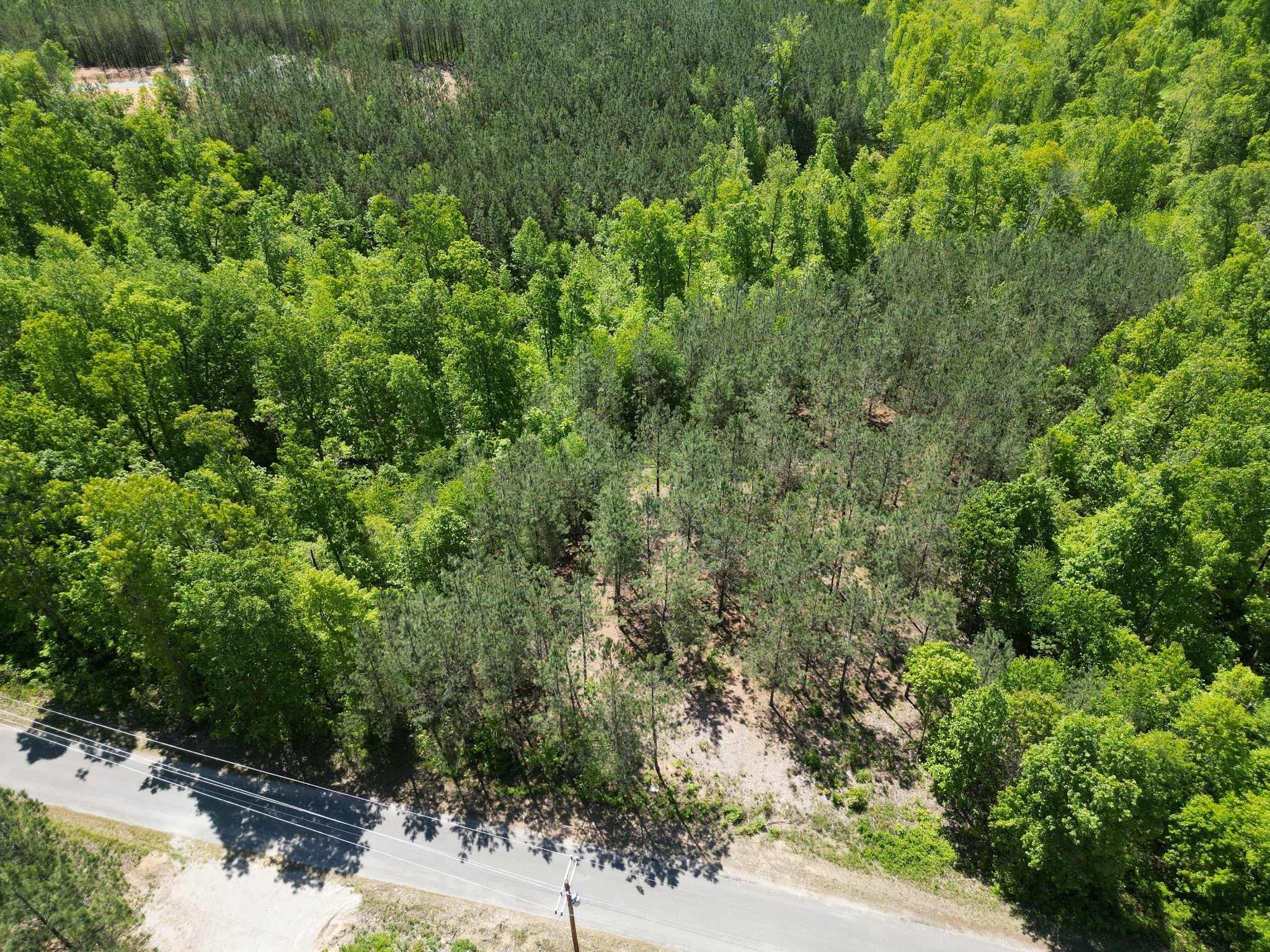 5608 Old Hohenwald Road Linden, TN 37096 - Photo 33 of 35 a view of a forest with a tree