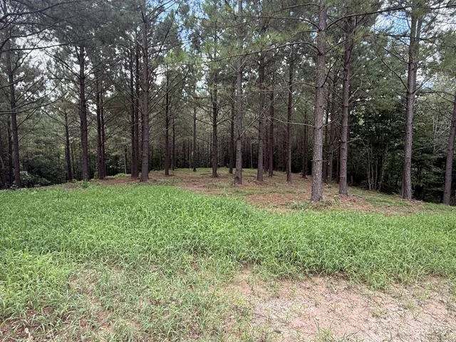 $102,000 | 5608 Old Hohenwald Road, Linden, TN 37096