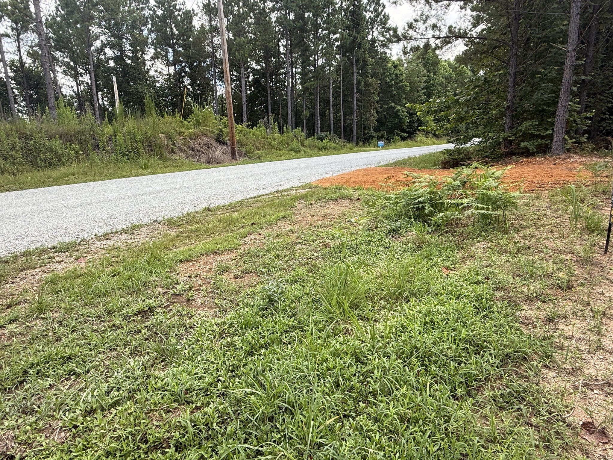 5608 Old Hohenwald Road Linden, TN 37096 - Photo 4 of 35 a backyard of a house with lots of green space