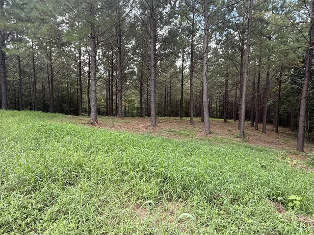 a backyard of a house with lots of green space and deers