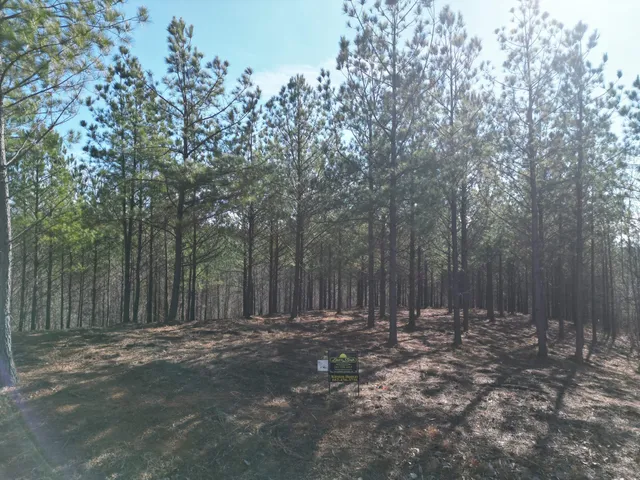 a view of outdoor space with green space