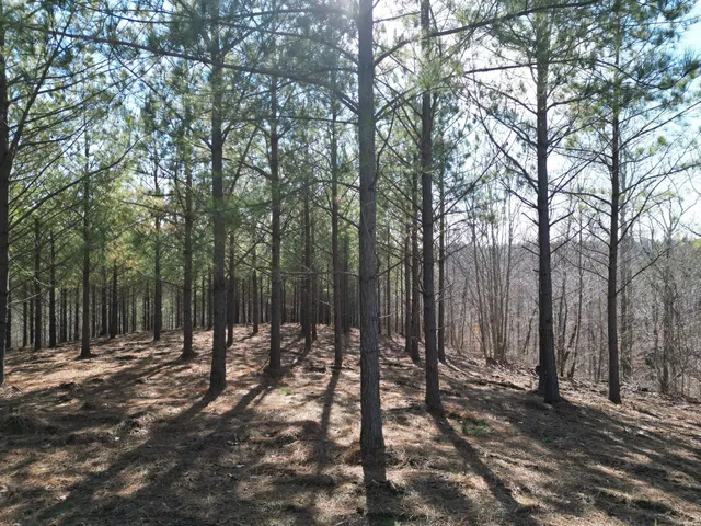 a view of outdoor space with green space