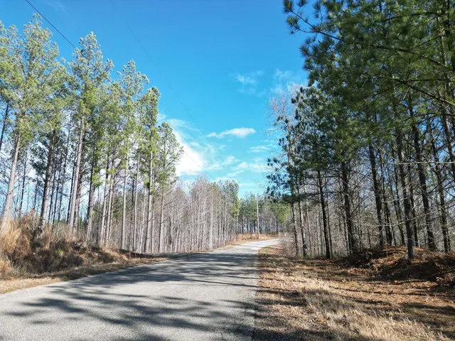 a view of a backyard of the house