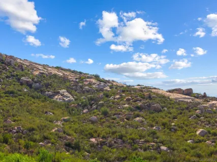 a view of a city and mountain