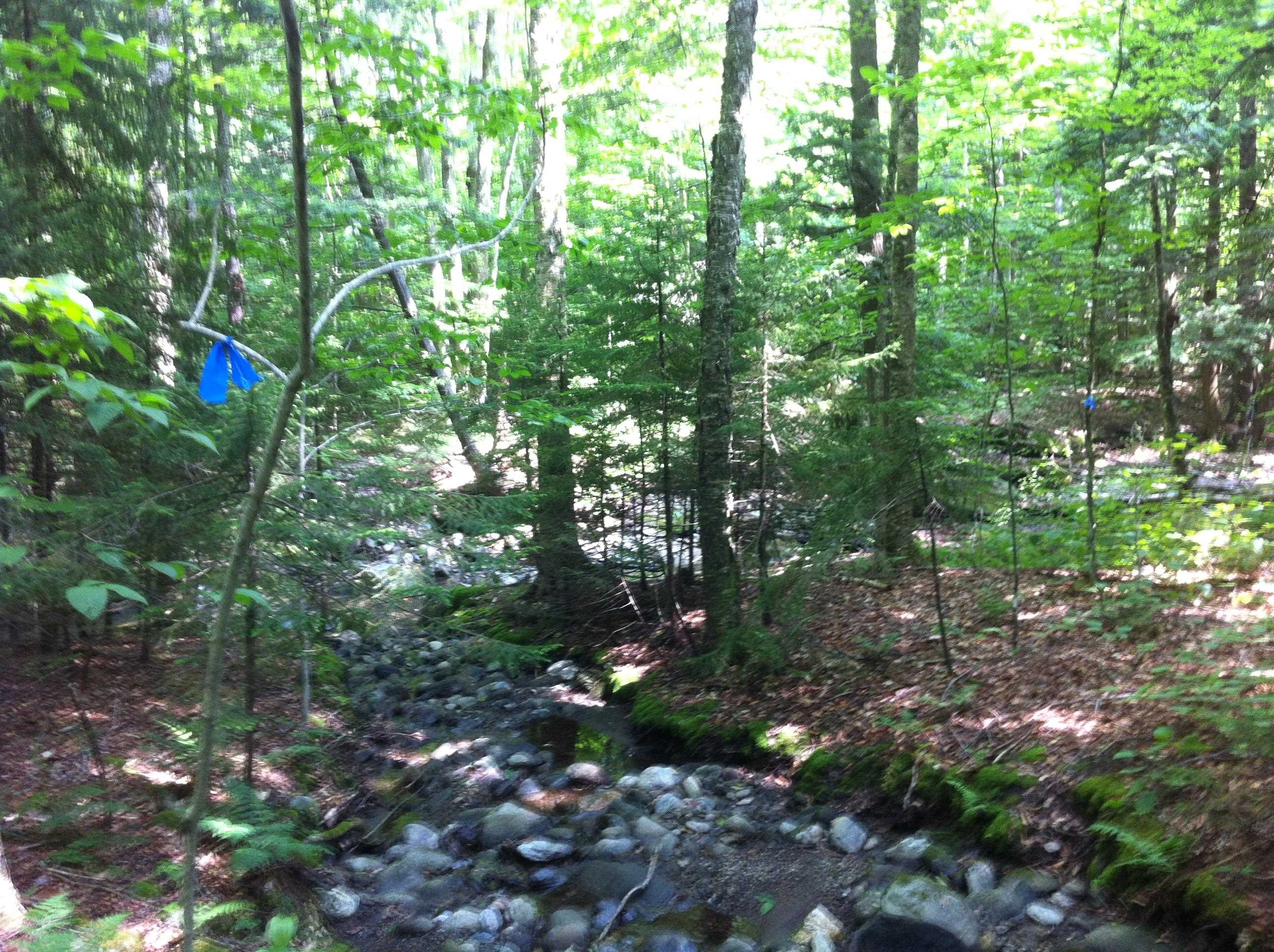 0 Lockwood Brook Road, Unit 8 Waitsfield, VT 05673 - Photo 22 of 24 Gallery Image 22