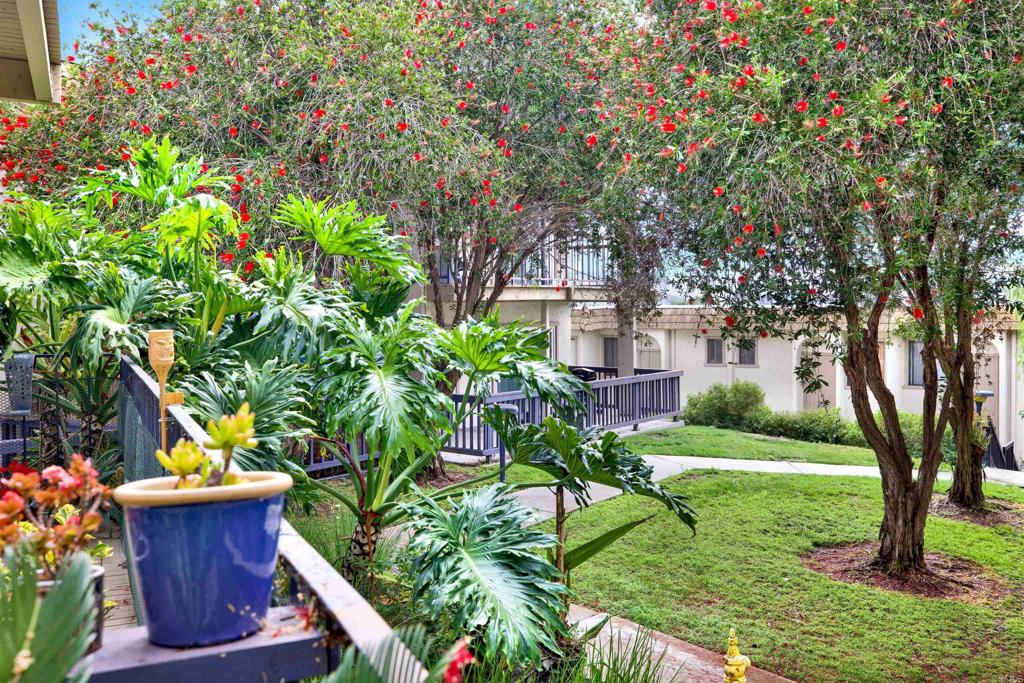 2383 Altisma Way, Unit D Carlsbad, CA 92009 - Photo 35 of 40 a view of a garden with a tree