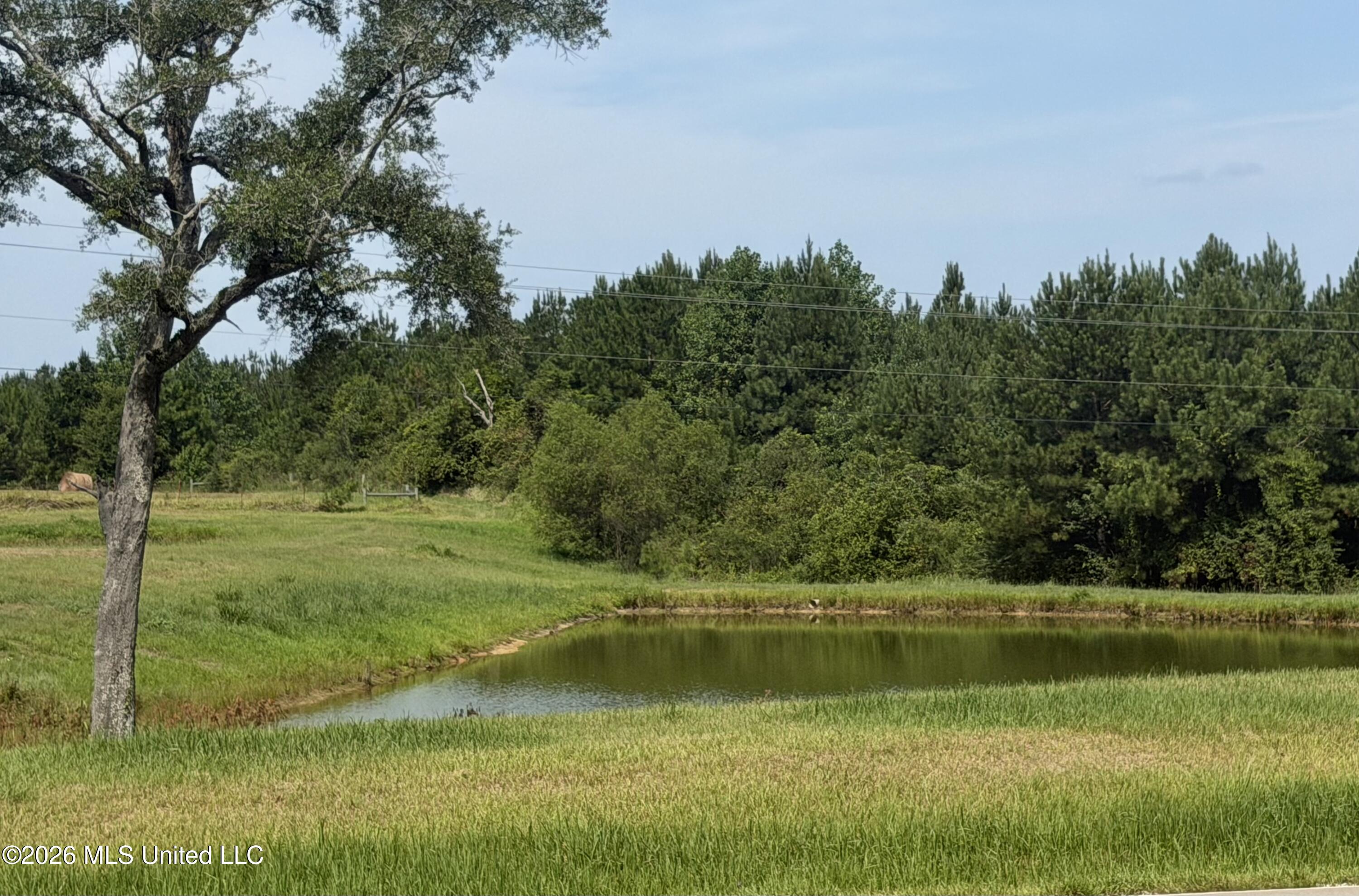 8488 Neely Avera Road Leakesville, MS 39451 - Photo 48 of 59 Photo Aug 19 2026, 10 53 27 AM