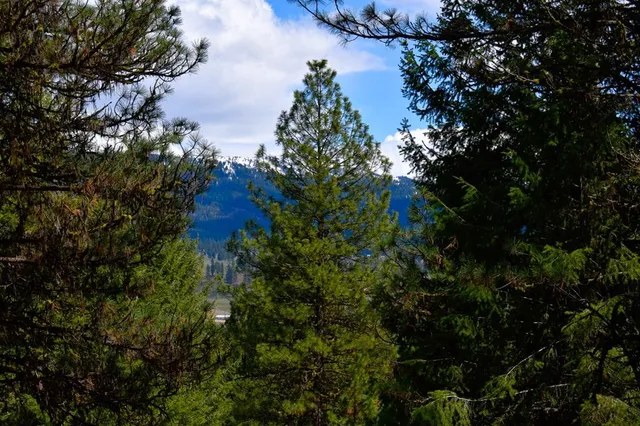 $199,900 | Lot 19 Little Salmon Road, Unit 19, New Meadows, ID 83654