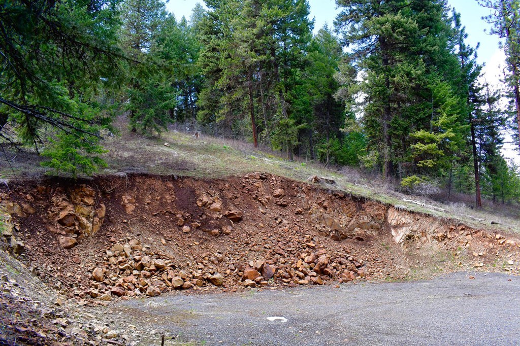 Lot 19 Little Salmon Road, Unit 19 New Meadows, ID 83654 - Photo 17 of 26