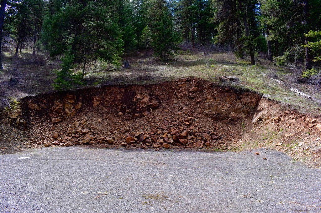 Lot 19 Little Salmon Road, Unit 19 New Meadows, ID 83654 - Photo 24 of 26