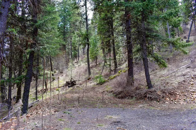 $199,900 | Lot 19 Little Salmon Road, Unit 19, New Meadows, ID 83654