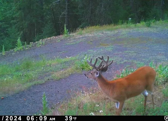 $199,900 | Lot 19 Little Salmon Road, Unit 19, New Meadows, ID 83654