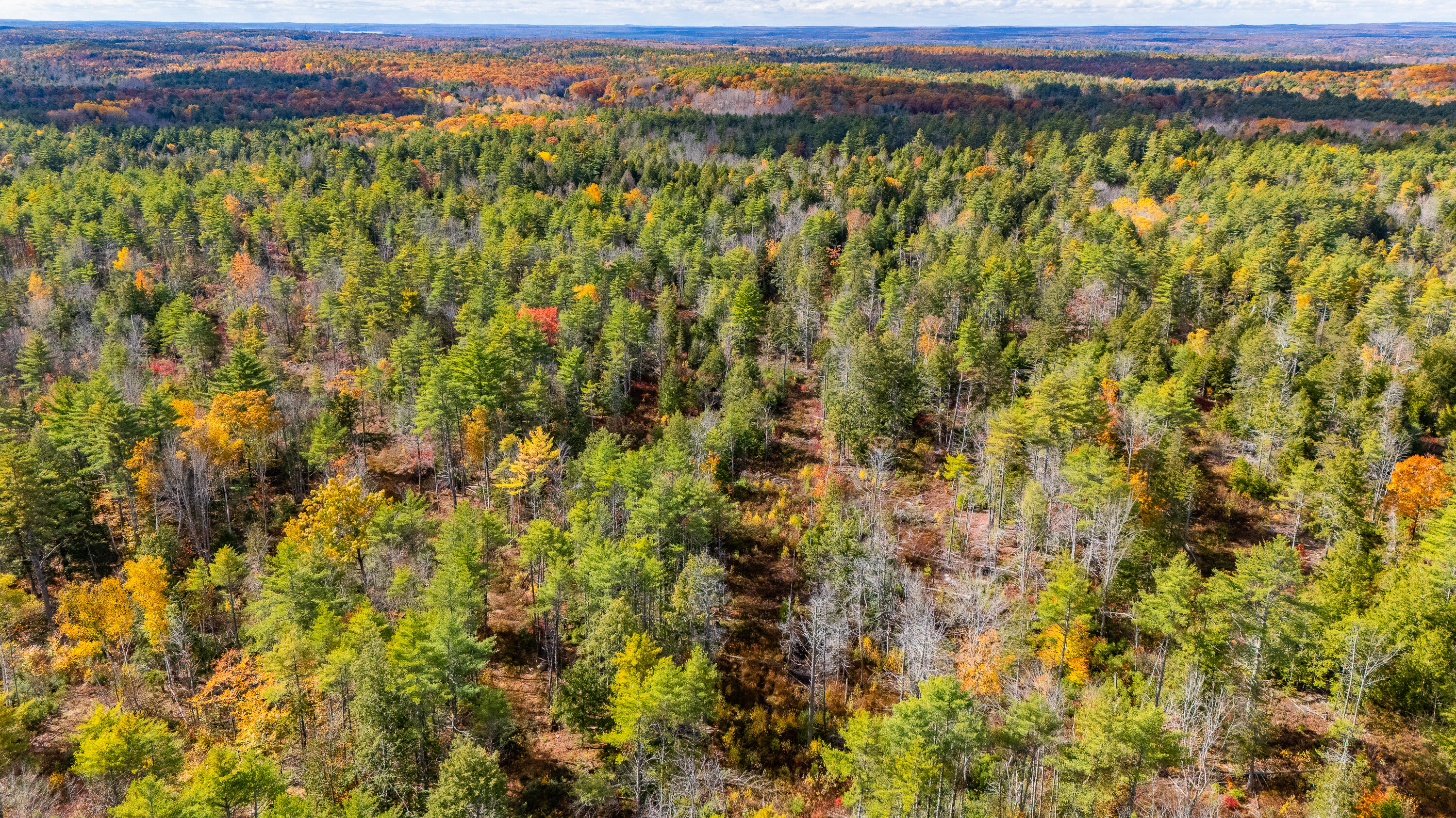 Lot 15-40 Gibbs Road Wiscasset, ME 04578 - Photo 35 of 107 Lot 15 & 40 Gibbs Road Wiscasset 035