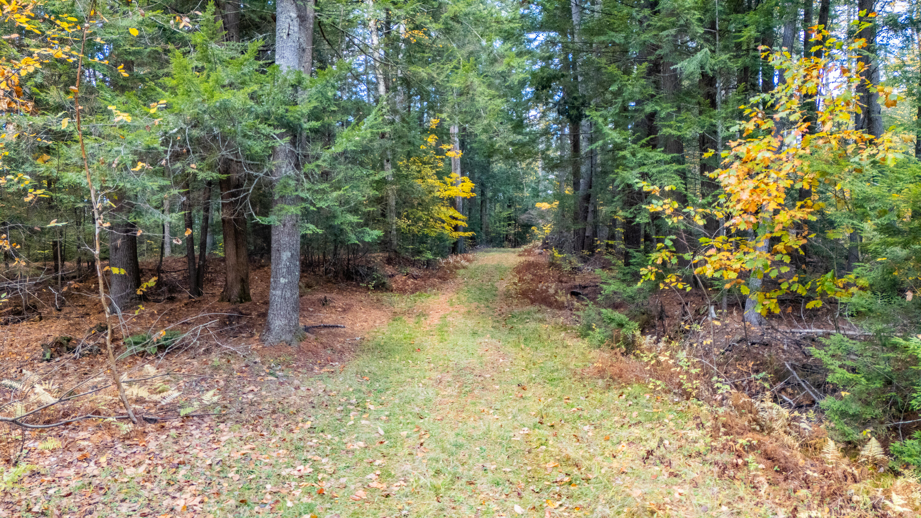 Lot 15-40 Gibbs Road Wiscasset, ME 04578 - Photo 4 of 107 Lot 15 & 40 Gibbs Road Wiscasset 004