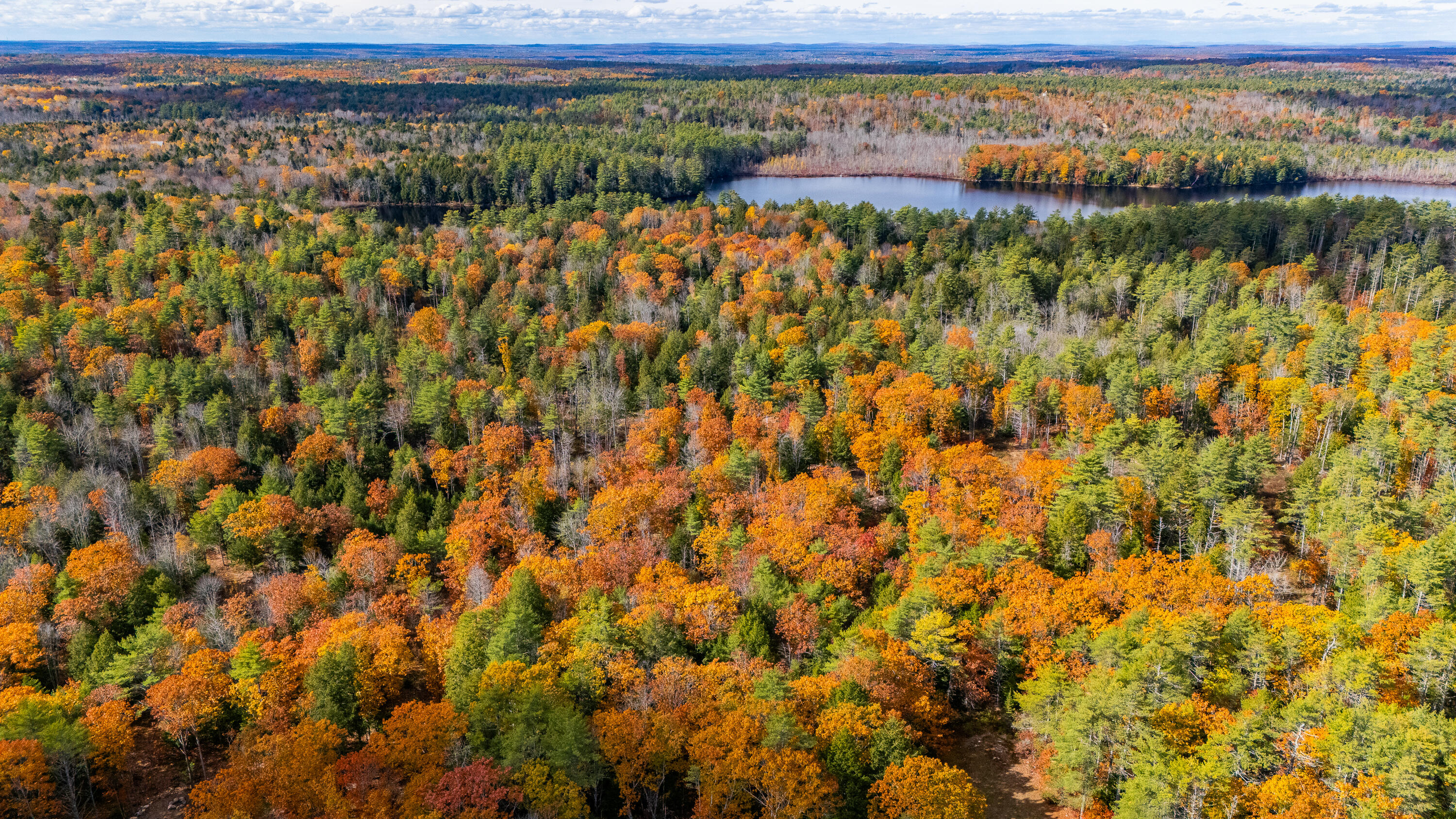 Lot 15-40 Gibbs Road Wiscasset, ME 04578 - Photo 52 of 107 Lot 15 & 40 Gibbs Road Wiscasset 052