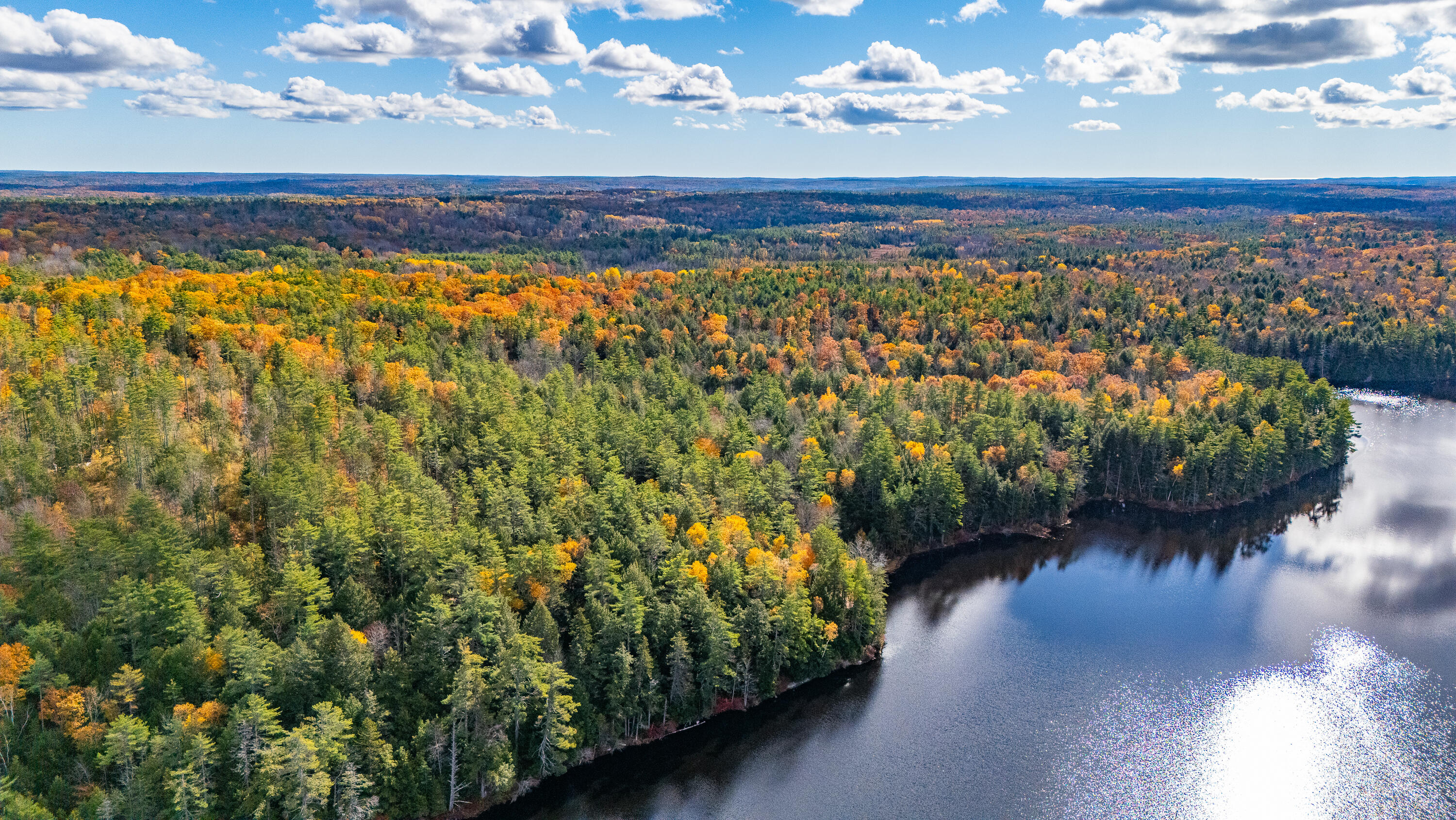Lot 15-40 Gibbs Road Wiscasset, ME 04578 - Photo 61 of 107 Lot 15 & 40 Gibbs Road Wiscasset 061