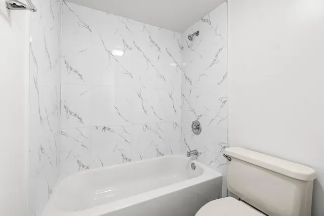 a bathroom with a toilet and a bathtub
