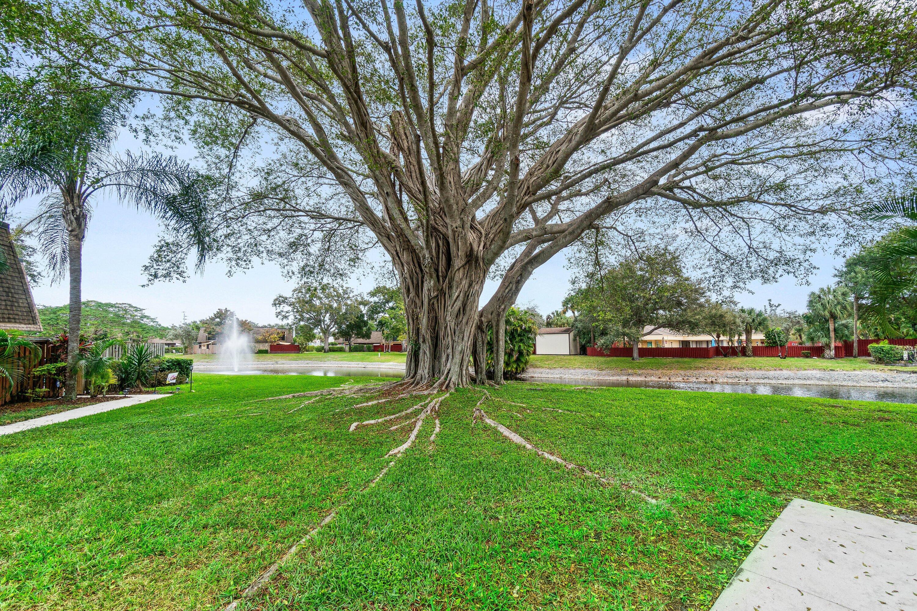 2905 Southwest 22nd Circle, Unit 40A Delray Beach, FL 33445 - Photo 27 of 38 a backyard of a house with table and chairs