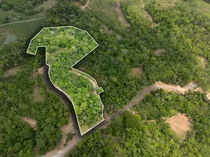 an aerial view of a garden